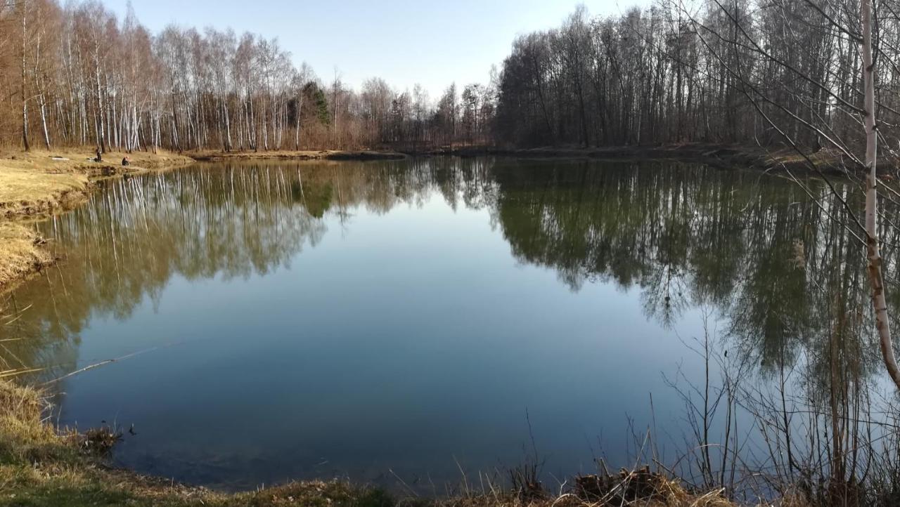 Agroturystyka Kameralna93 Ochaby Kültér fotó